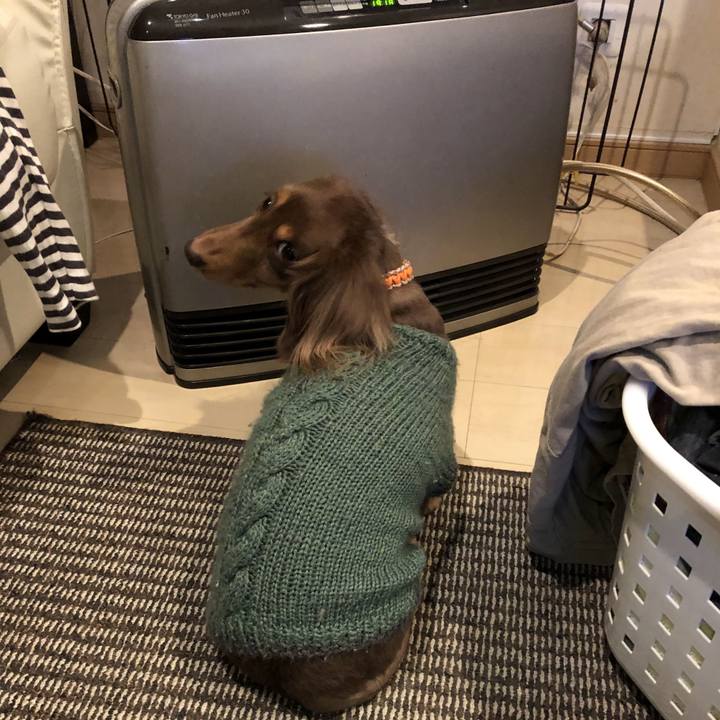 38f8b36f 8a6d 46d4 80b8 f2f3cd550694 1673269860756