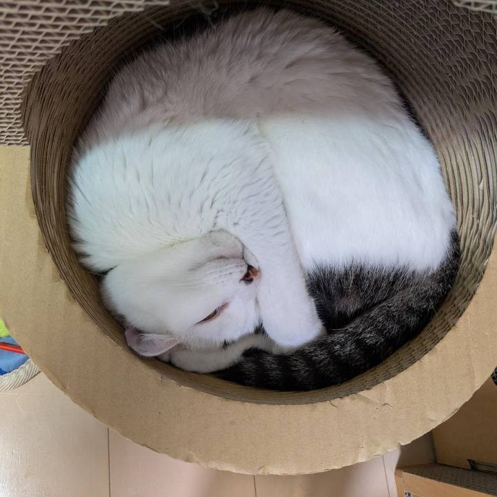 38f8dea5 ba50 4b99 a500 b95a8a5b35c6 1769093975708