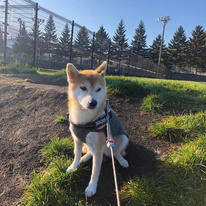 38f8ef09 b9b1 4933 b344 91be03e6bc3c 1571616317430