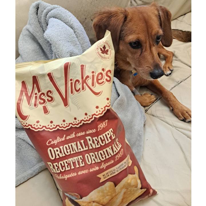 38f90b68 bafe 4cf9 8067 763b16c2e1e0 1758838505712