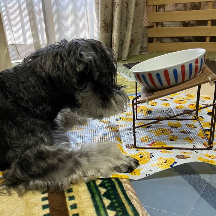 38f90fae b06f 4e39 b42d 508b146a2ebf 1716687610023