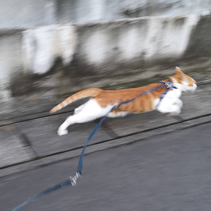 38f96a02 c7fd 419c 9d73 b5283fdba645 1559991667780