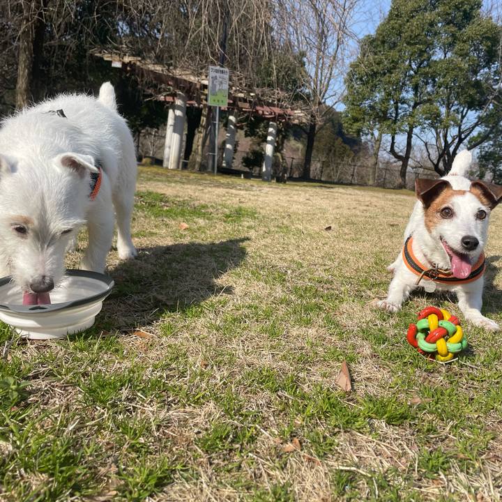 38f9c7da 53e2 4b8a aa9c ec4c4c9b6082 1773792134495