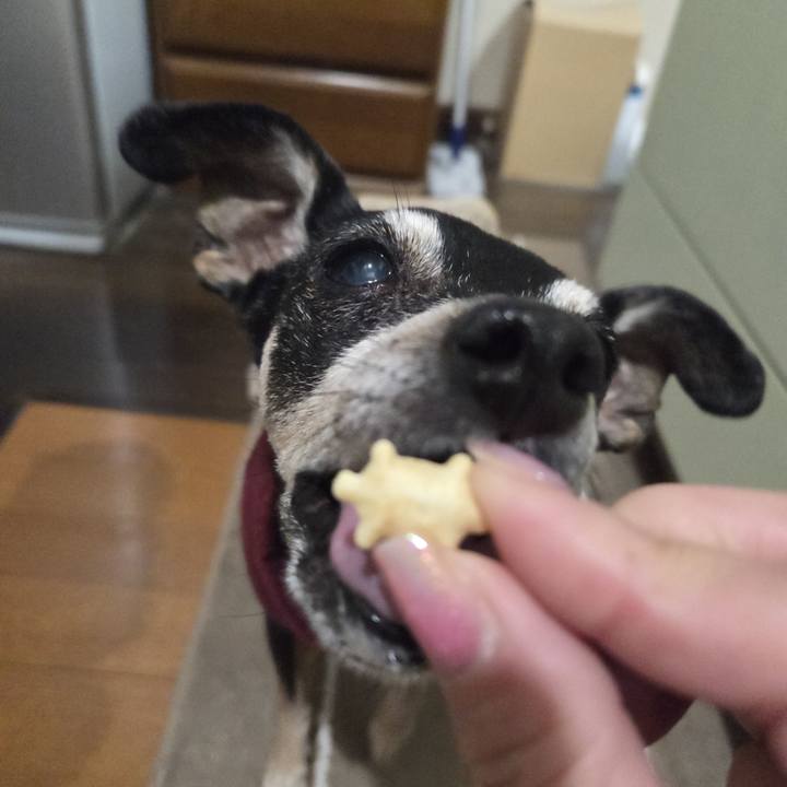 38fa24a1 6d11 4a38 be10 14e1142b313e 1773776458538