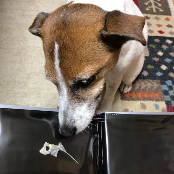 38fa90e6 267e 475f 91be 9659b659df84 1525697436187