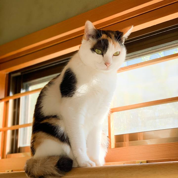 38fad18c 29fe 483f 9f87 a0a5742e364d 1575774039174