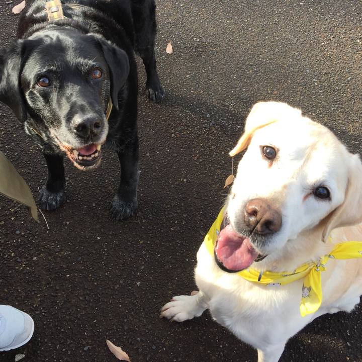 38fb0ef7 14b7 4611 a842 1ace776e5a82 1543046382232