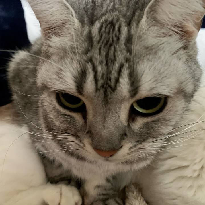 38fb3040 f86b 4155 bd85 871824f9f424 1642977999728