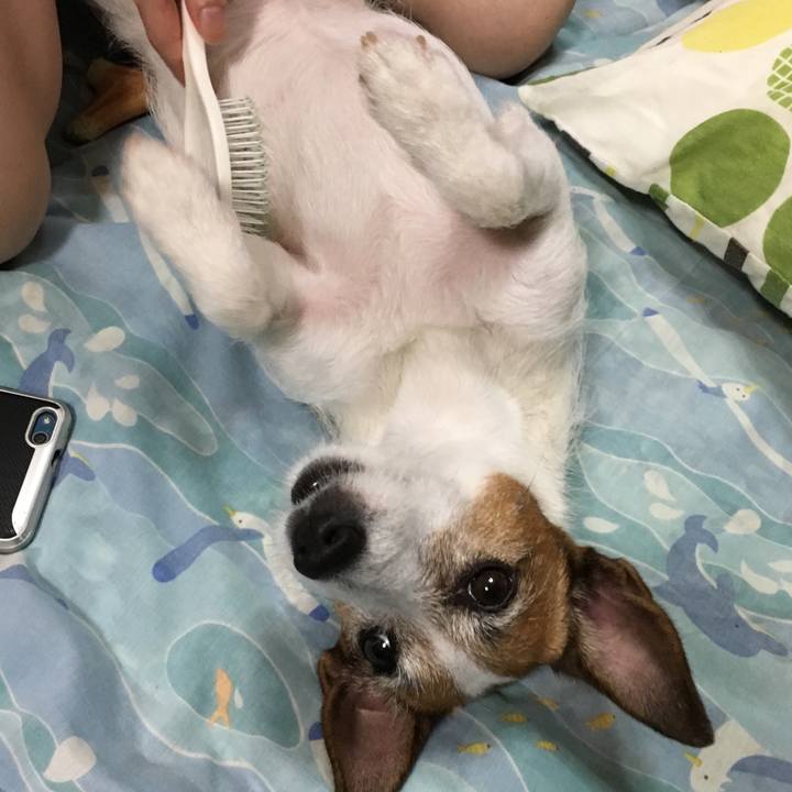 38fb4d99 ba71 45cd be88 903567a4b900 1566358178111