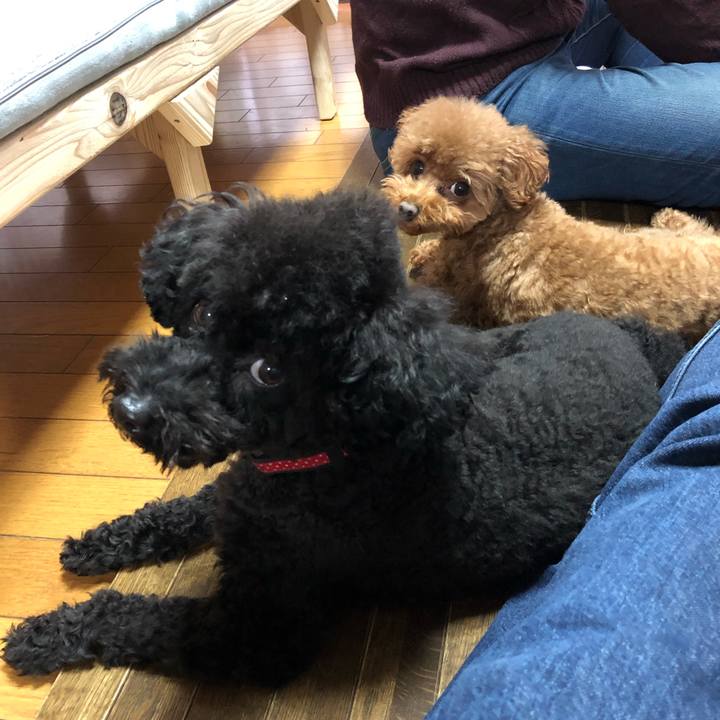 38fb624e 1515 444f b964 e5a66314dd4f 1575684562503