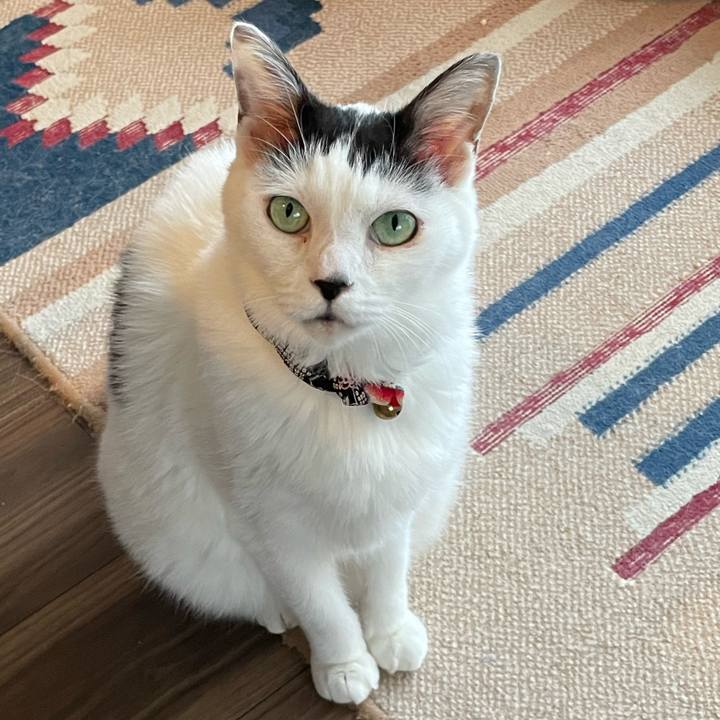 38fb71f2 a240 43c3 a864 b9e0e1cd8fc8 1696148607229