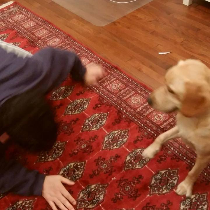 38fba8c4 f37f 4484 a25d 09a7a9c36be6 1508574203147