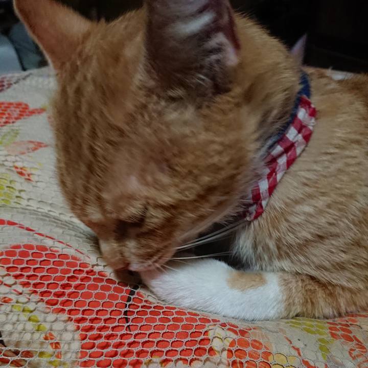 38fbb276 7024 4484 a7ff bc4b77075d08 1559314253813