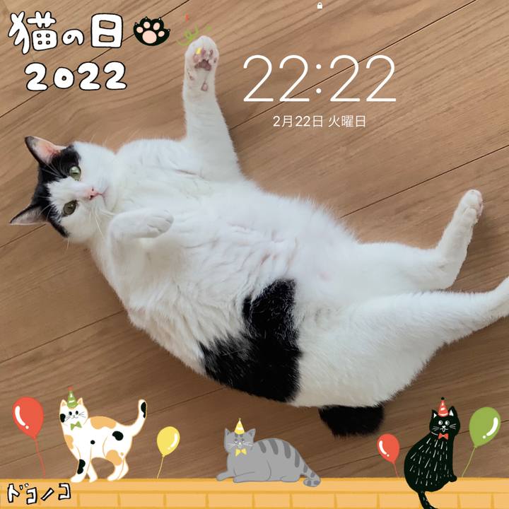 38fbbe0c 455c 46bb 9aac 5bf4f8c79e18 1645536400883