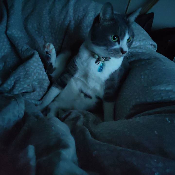 38fbc32b 5a17 4c4e 974c 11da46c92bb8 1709590564216