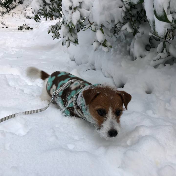 38fbdd6f 3f9b 450d a82d 3b1a56afdc6f 1516660492419