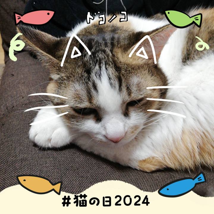 38fbde58 0534 41fc bac4 a69be09aae2a 1708553671887