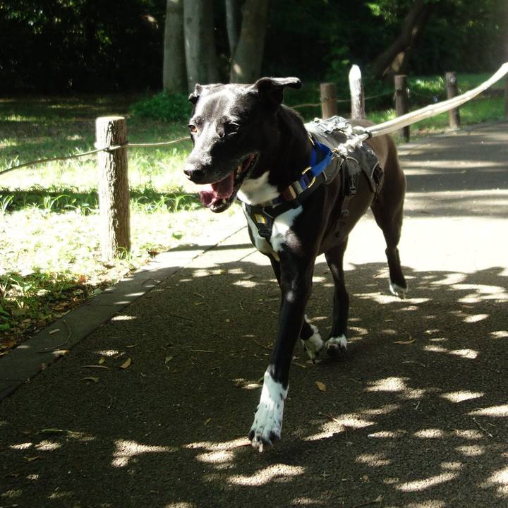 38fbe462 8ab3 416f b998 9aae1a202f51 1653877331622