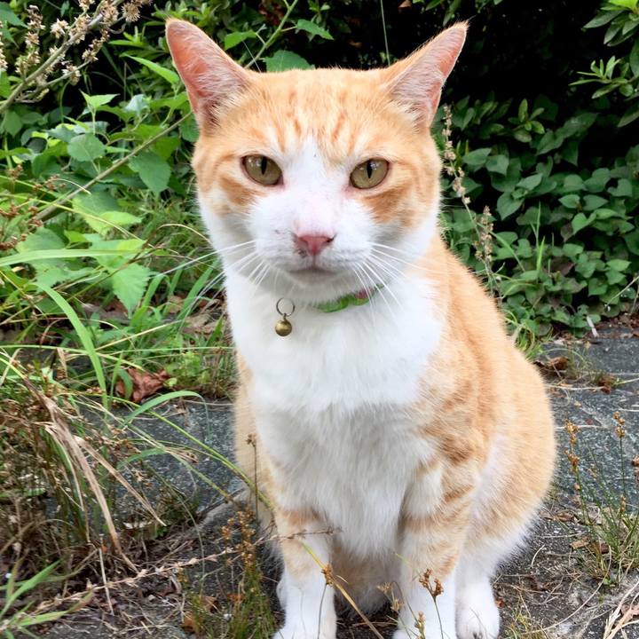 38fbf5b7 2618 4375 9022 eaafbd834698 1531752949940