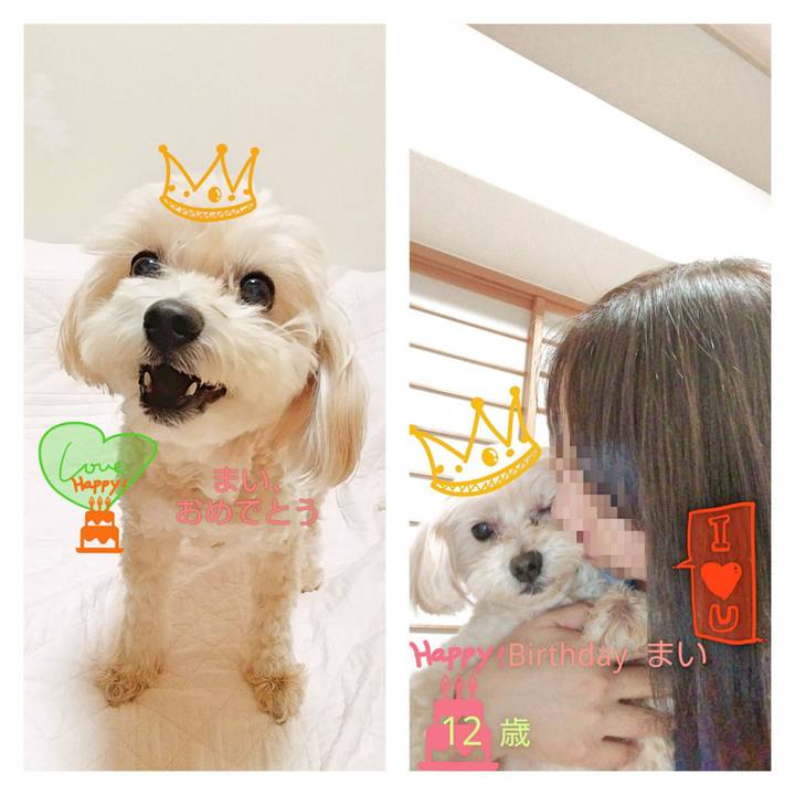 38fc1081 077f 44dd bf0e d5a30cd028cf 1602606791651