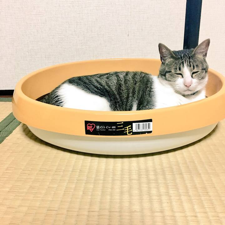 38fc54f1 9a9b 440f b922 d7ead18f8fb8 1527515486090