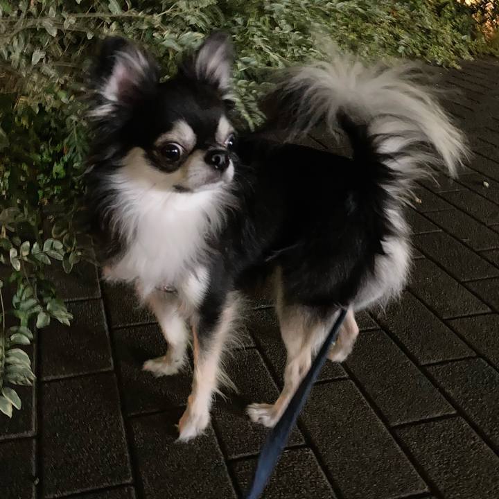 38fc66b9 aecf 4ab2 b2f2 90394707405c 1656774229292