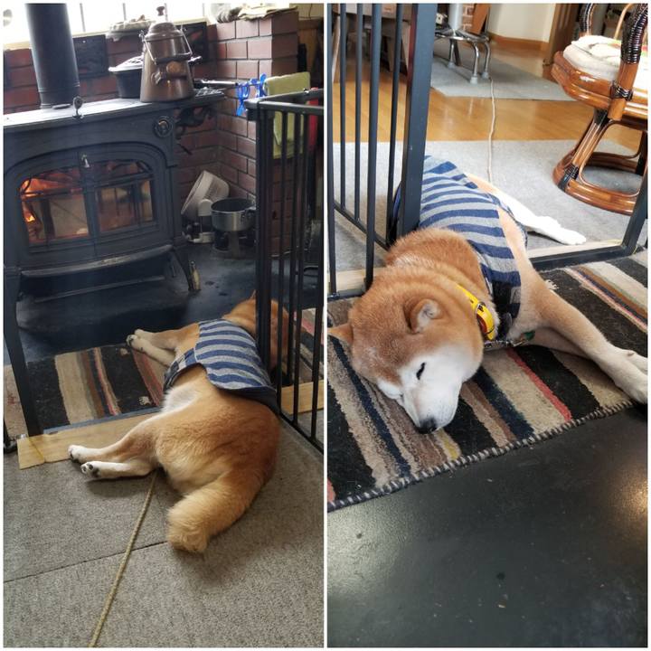 38fc741e c7b8 4035 b610 44c8643fd642 1673222966041