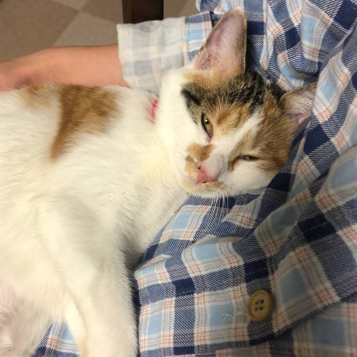 38fc86a6 1c07 4aa3 b174 e37ca1a287fe 1574379125407