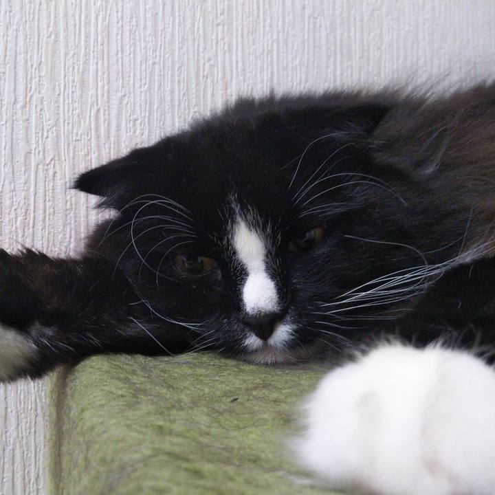 38fc962f 7a83 43da 97a2 bc07e04b626c 1664882988186