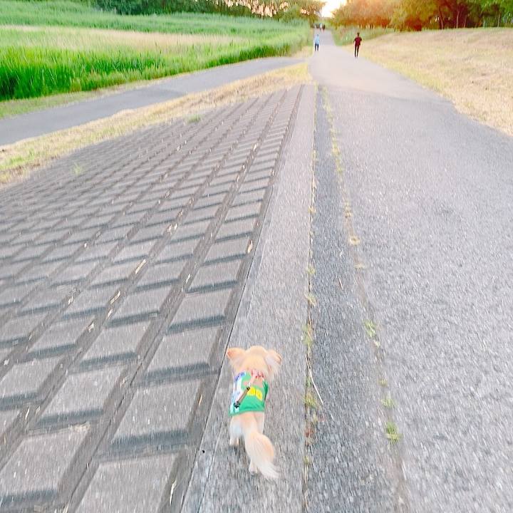 38fcb935 f640 4f4d a812 33cdb7b6e359 1622625446701