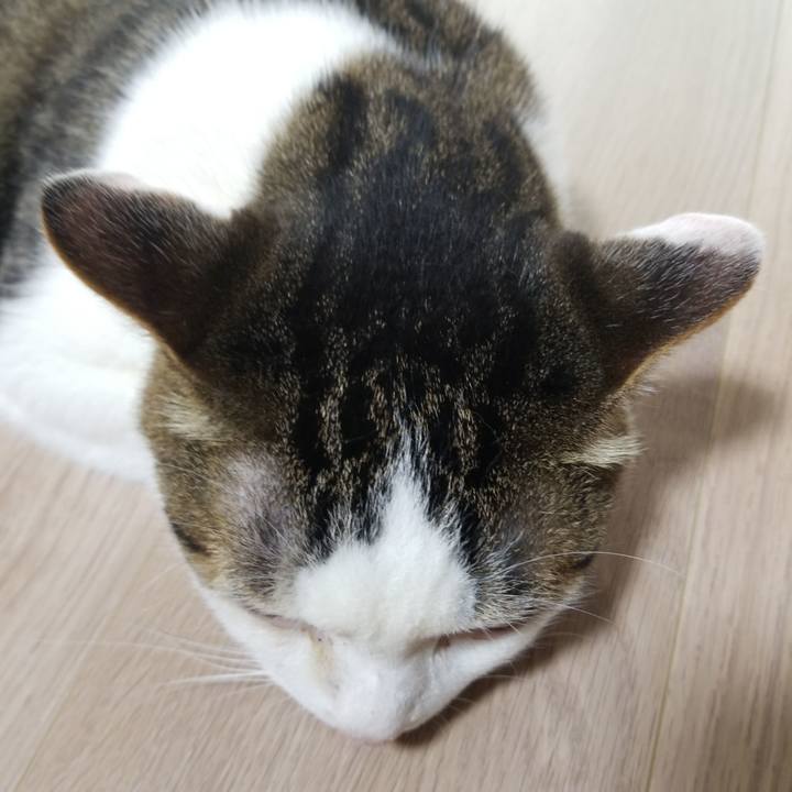 38fcfb67 c4b2 4275 a8e2 2ed7e6015699 1559769804732