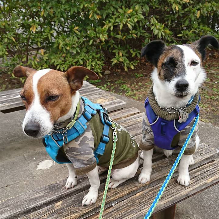 38fcfc32 8b0f 40c6 9667 9bfeb7f699e7 1616199339841