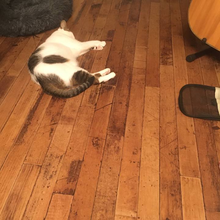 38fd0718 67b5 472d bd55 422a9f33d499 1598456880603