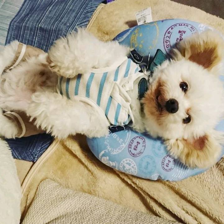 38fd13b0 f3f3 4c0e 8e95 9271d9a1f1a2 1525691450037