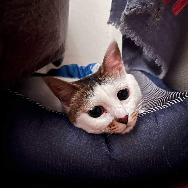 38fd198a 32b4 4529 a8e8 60404ce07185 1656346980999