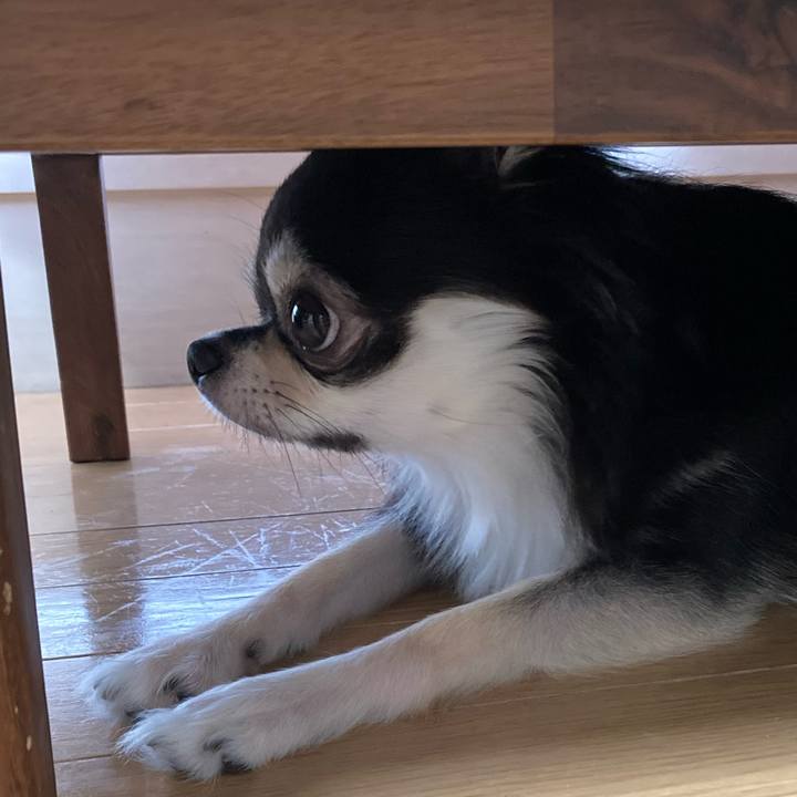 38fd3c0a f502 415e 8c8e 113c1e0a58d9 1630152349033