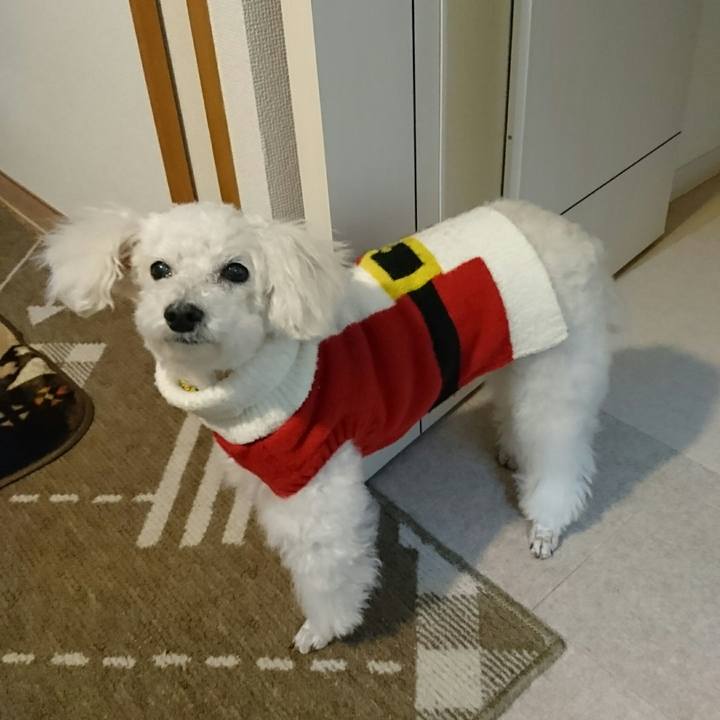 38fd5d0a 0bd0 4e46 ae83 98148d565bbd 1514323065626