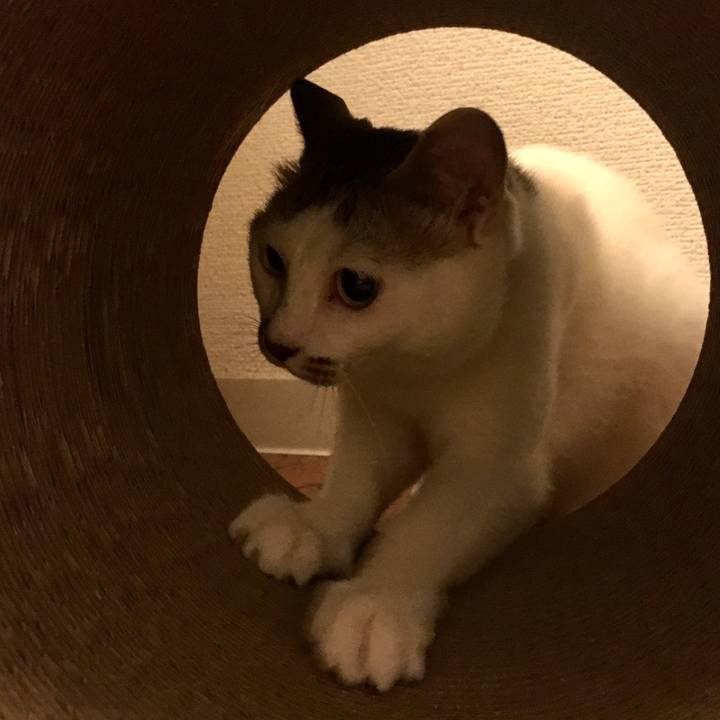 38fd76a6 afa9 42ff 8aeb 23f3fa773802 1531669894966