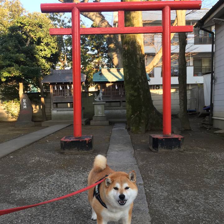 38fd940b e73f 4a37 857e f1836d004311 1612433272375