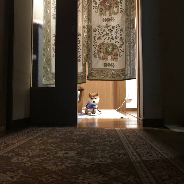 38fda7b2 a9af 4ec3 a827 bd1b816835f6 1510139642875