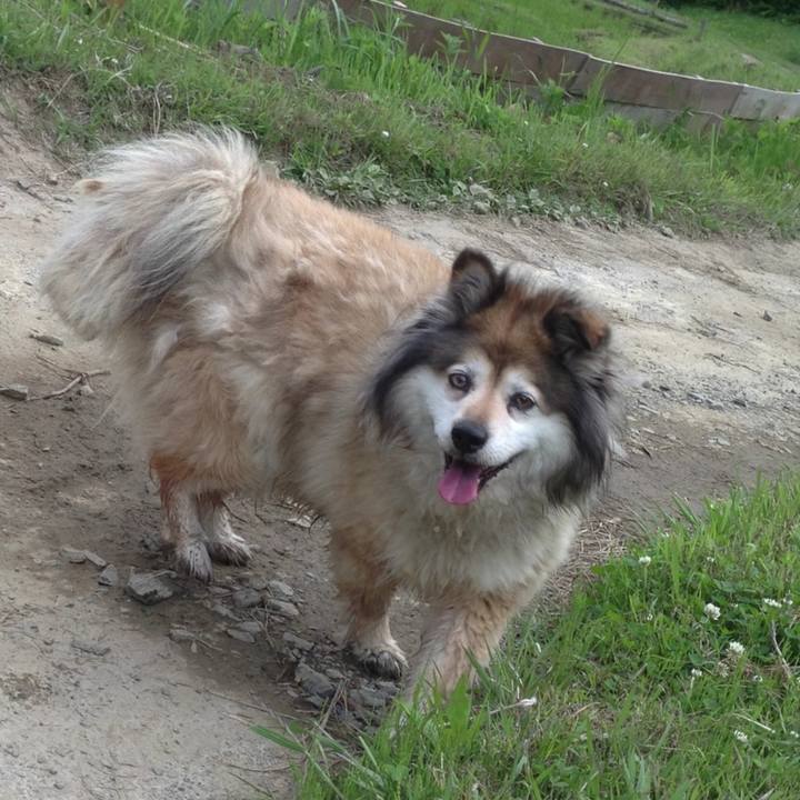 38fdaa8e 1b36 465d bcb7 831d598a6eac 1606803024969