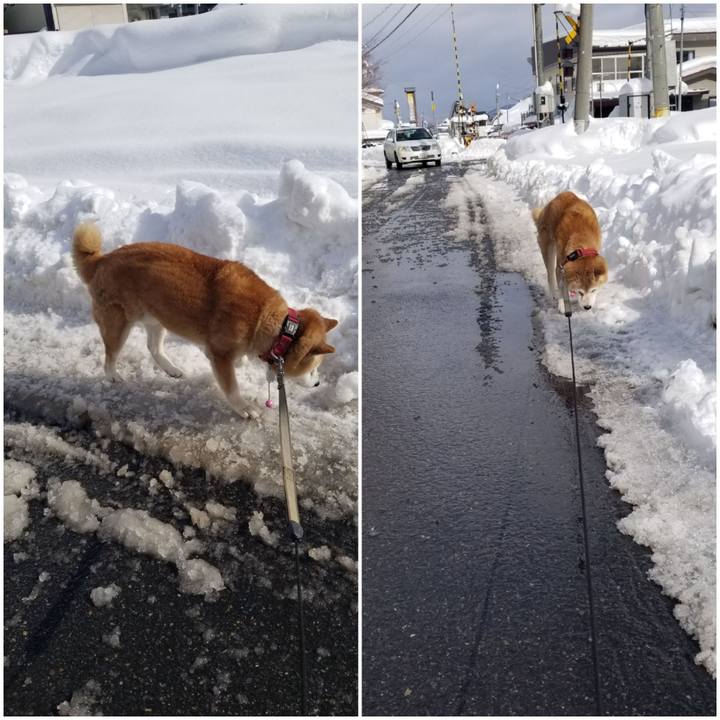 38fdc9e6 f5a1 4773 bcc6 a2c1abf919dd 1769403088093