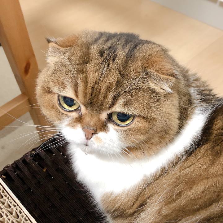 38fdcf12 46fe 4e92 9b10 b534369db92d 1599986353508