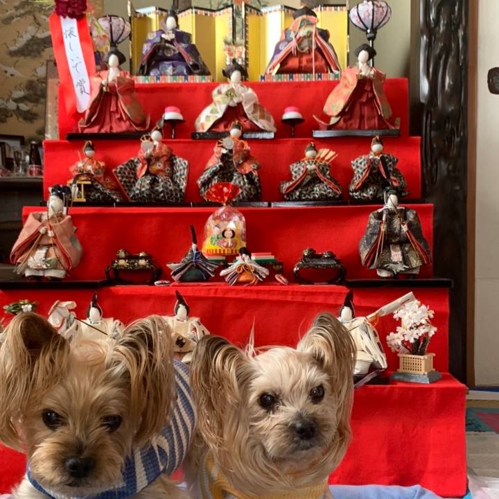 38fdd9e1 2f5f 4faa a00a d4bf5ea53cc4 1646301751828