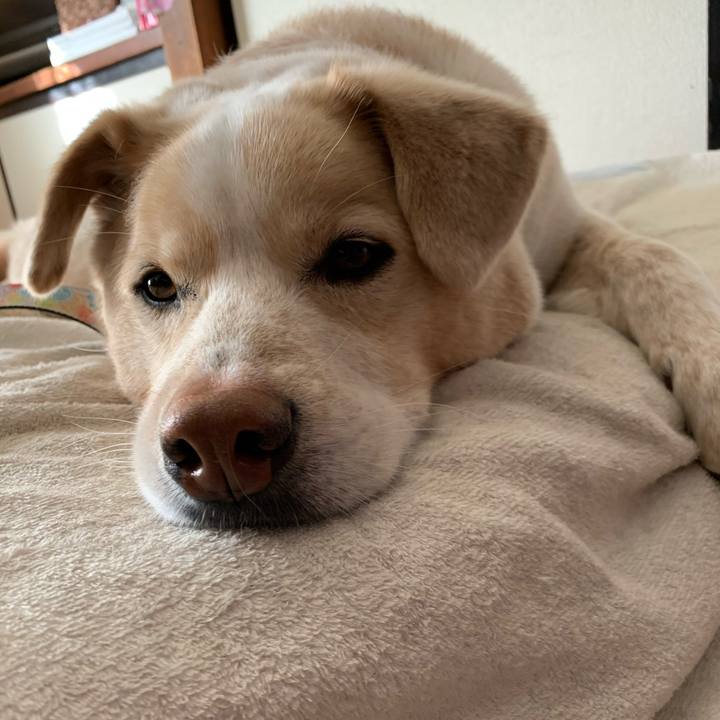 38fdea15 43f4 4f10 83d2 471f6eb55731 1584746477803