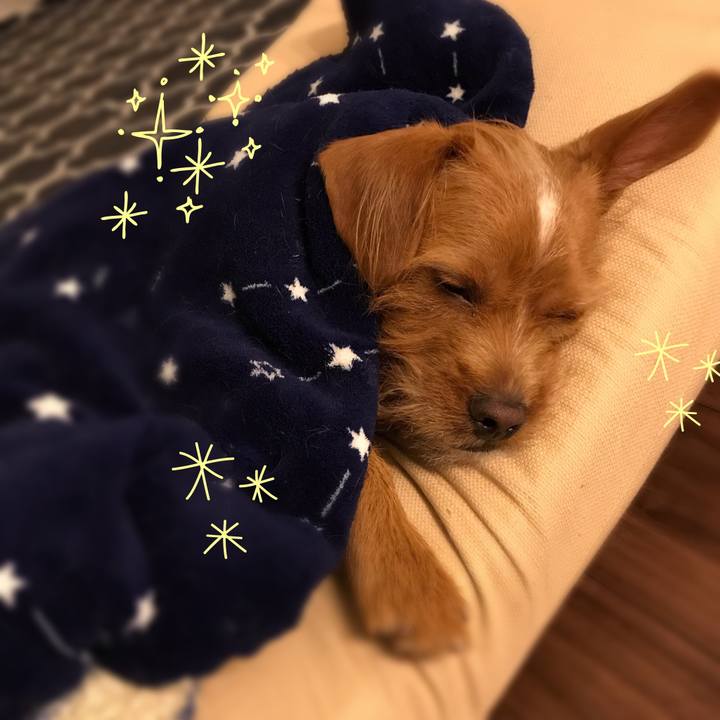 38fe0d50 73cd 4fb6 88e5 73180003db89 1545653557297