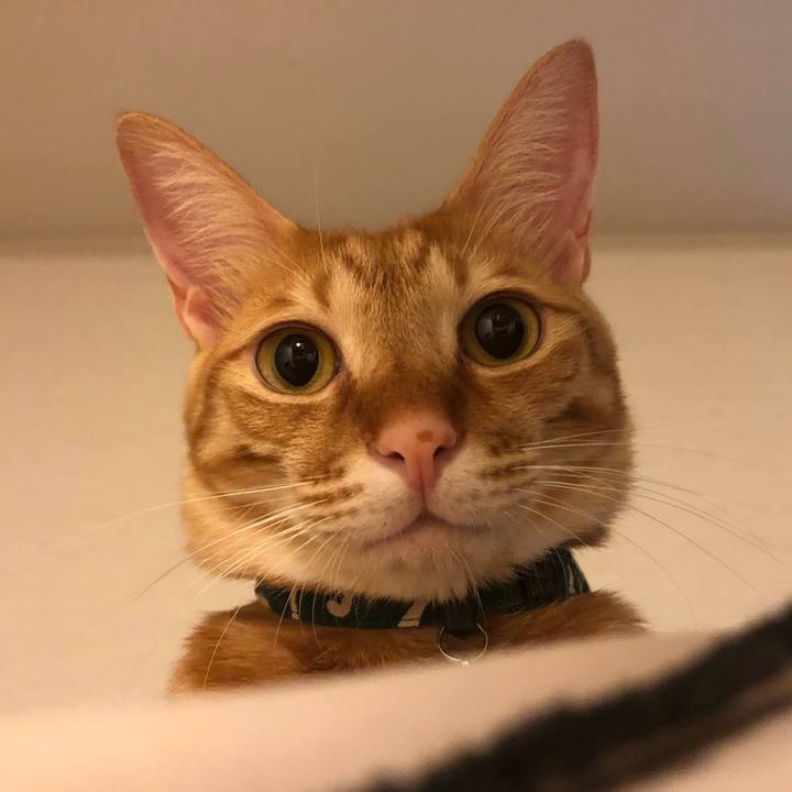 38fe3e7f 7fbf 42c2 89ea 1435db452b97 1631396990332