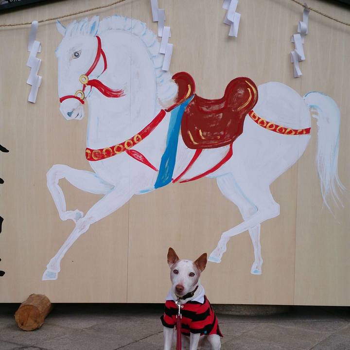 38fe492a b8f6 4d37 aaf1 5d48f4512f8e 1767663416290