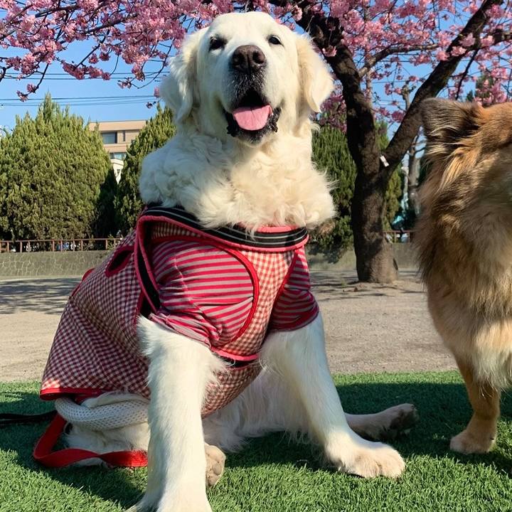 38fe60df 794a 47db bad6 b46cc067b584 1645154713578