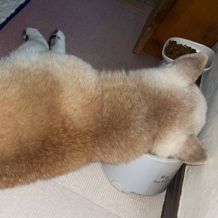 38fe8a01 e46c 4130 bf0e b5f5fbf403d5 1759846391391